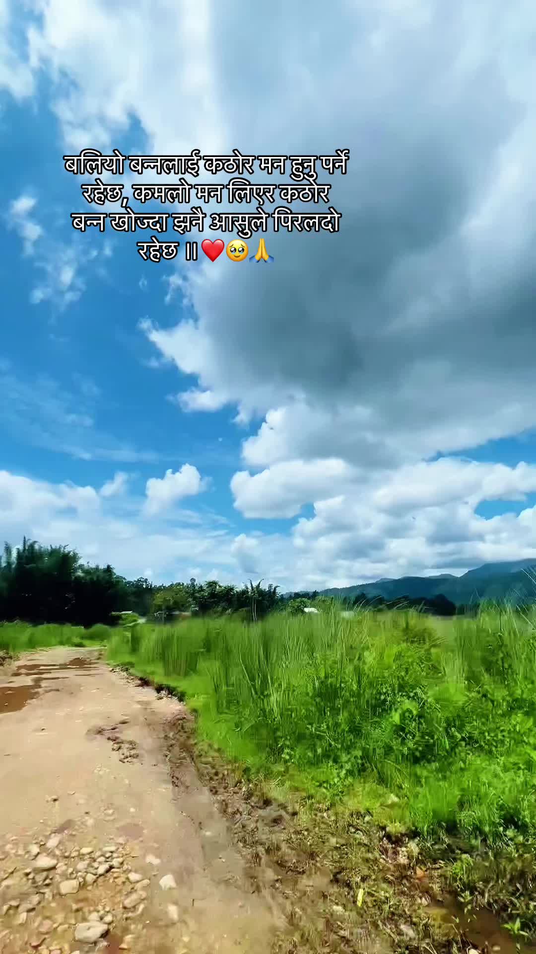 @🦋🦋