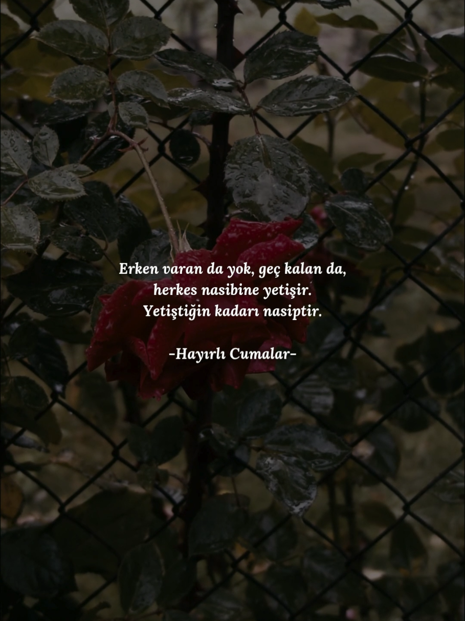 @ᴅᴜᴀ ᴅɪ̇ʏᴀʀɪᴍ