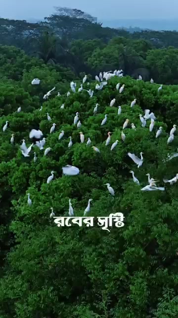 @shiponkhan1431🇧🇩🇪🇬🇪🇬
