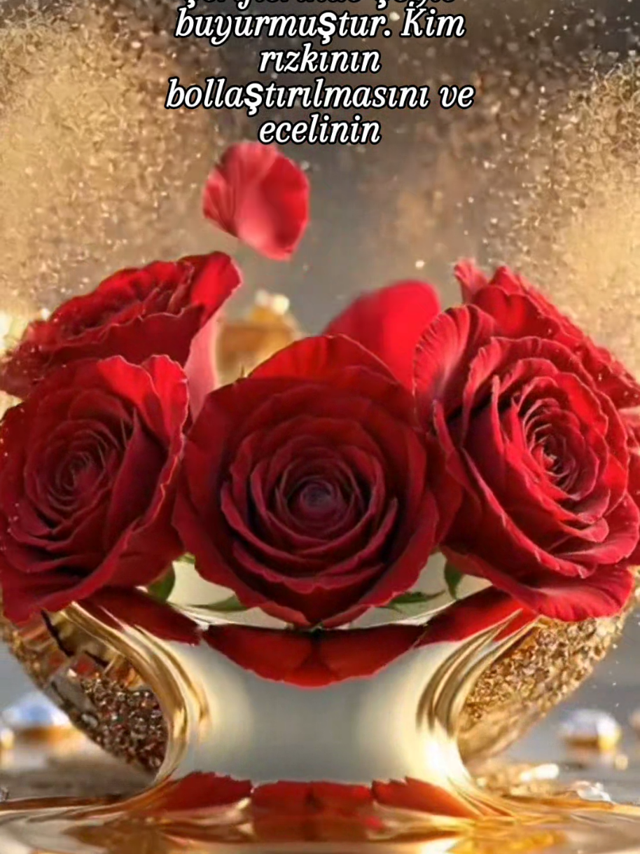 @hayat nereye gidiyor