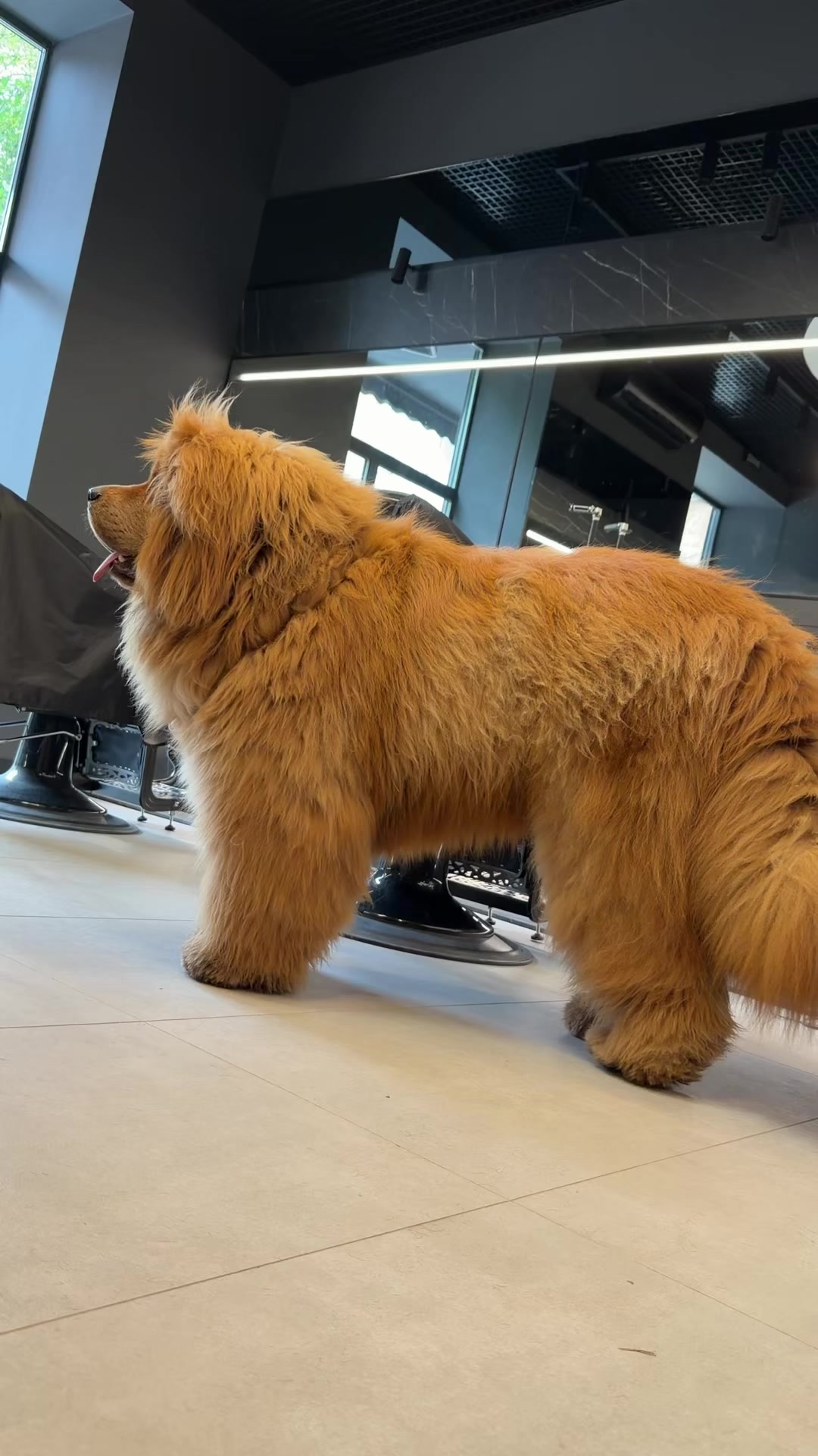 @Джампер 🦁 Jumper