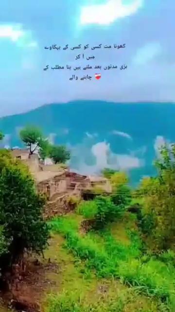 @muzammil tanoli