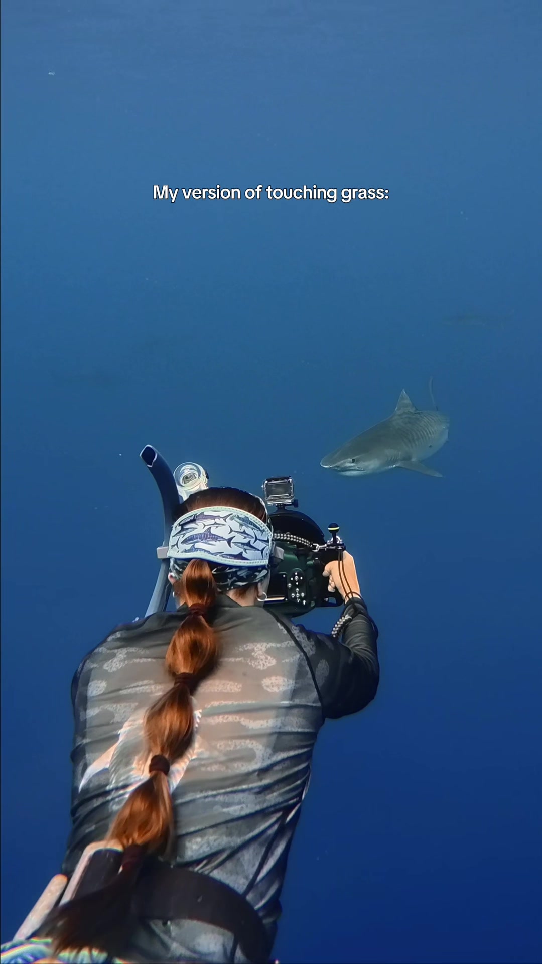 @Kendall | Shark Photographer