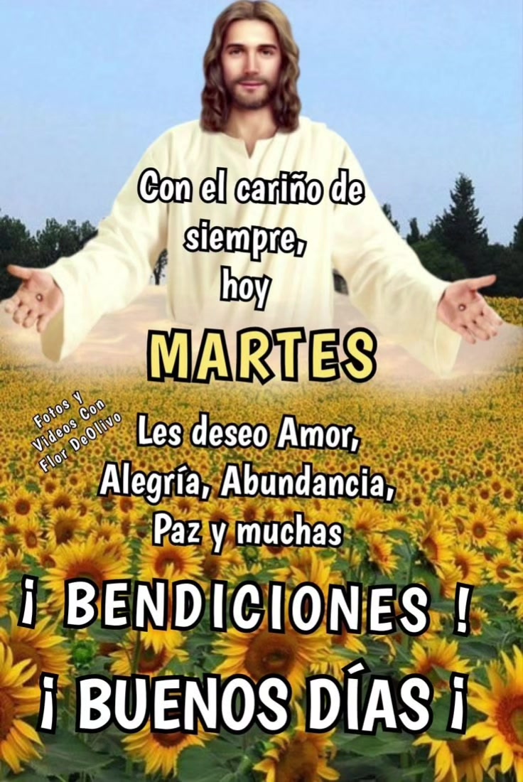 @Aracely Estrada