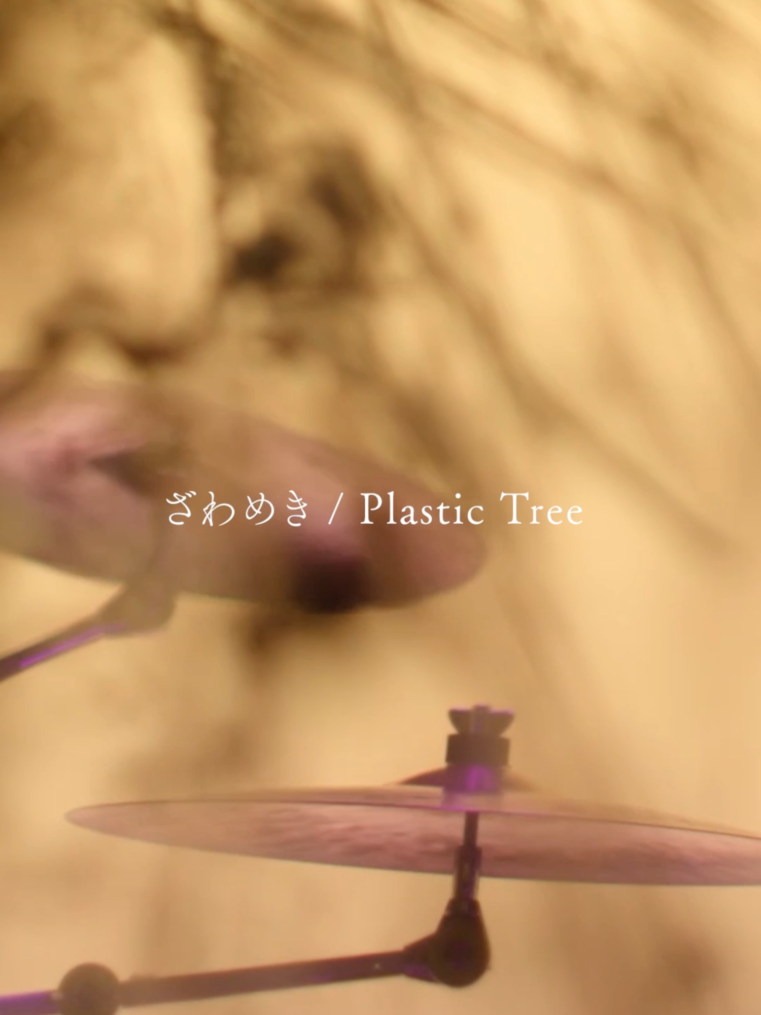 @Plastic Tree_official