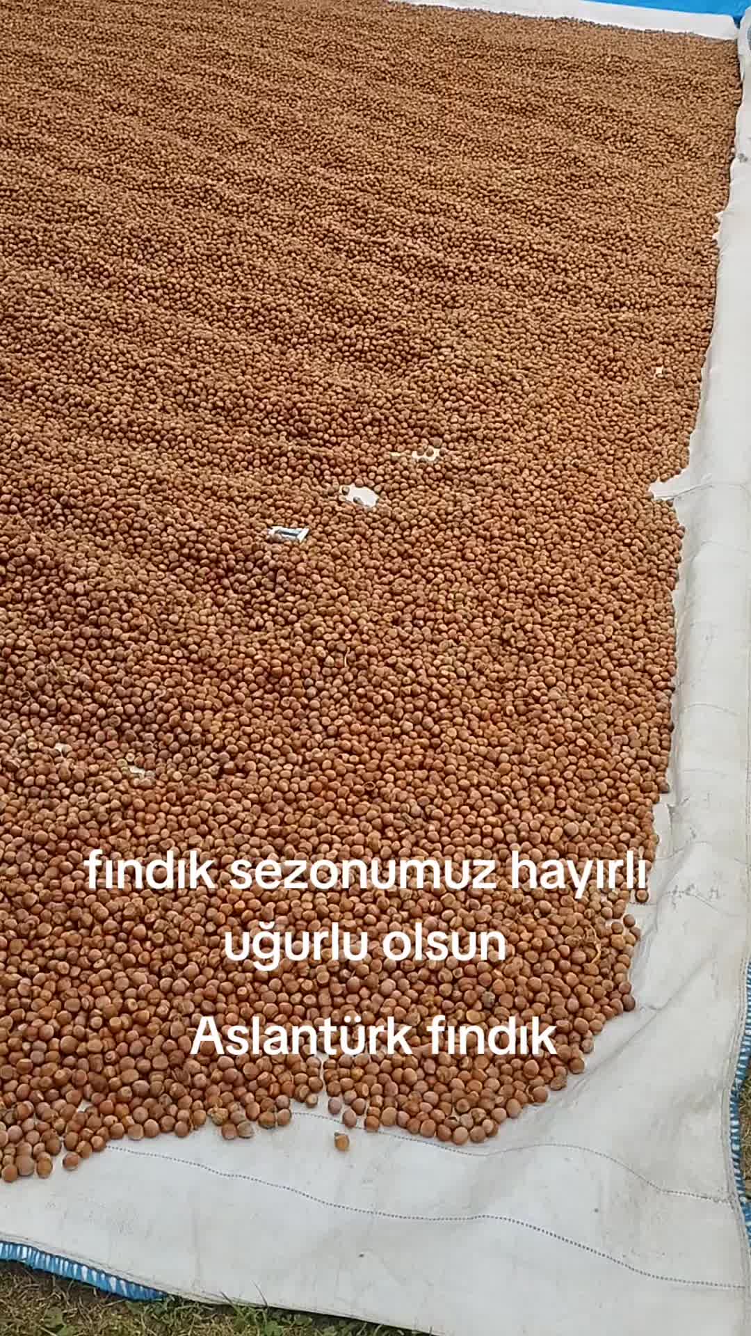 @CihanAslanturk55