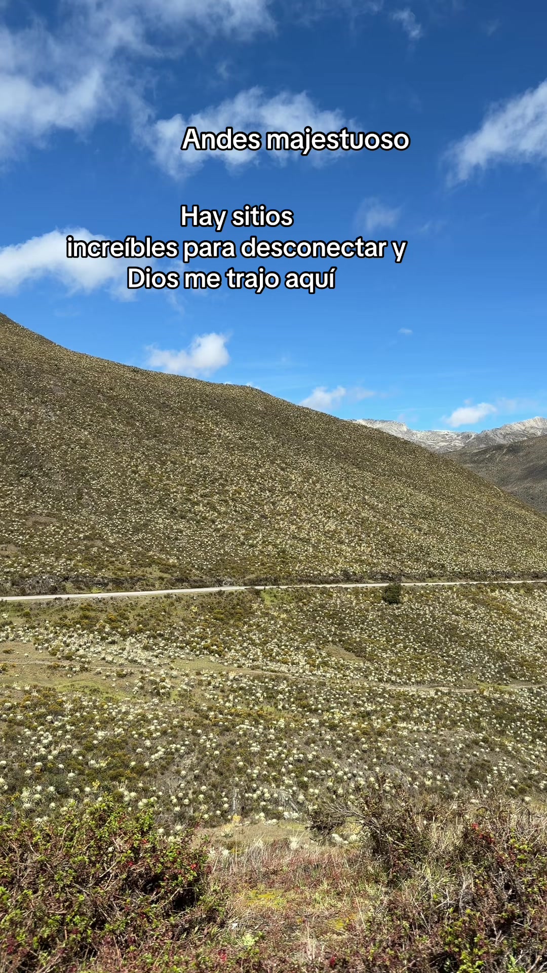 @Dra Mar&iacute;a Fonseca