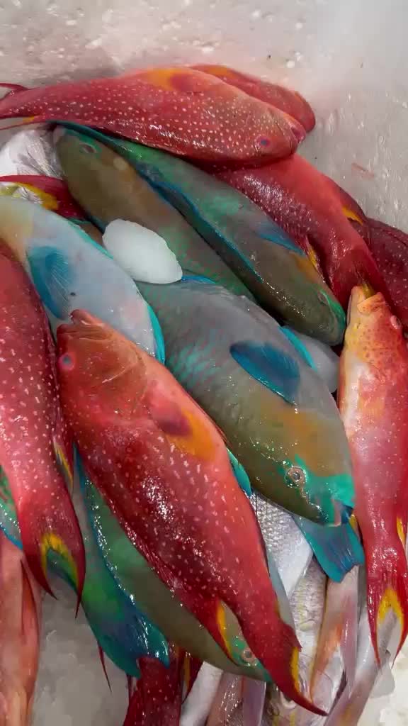 @مطعم القوز للأسماك.الدرب🧿