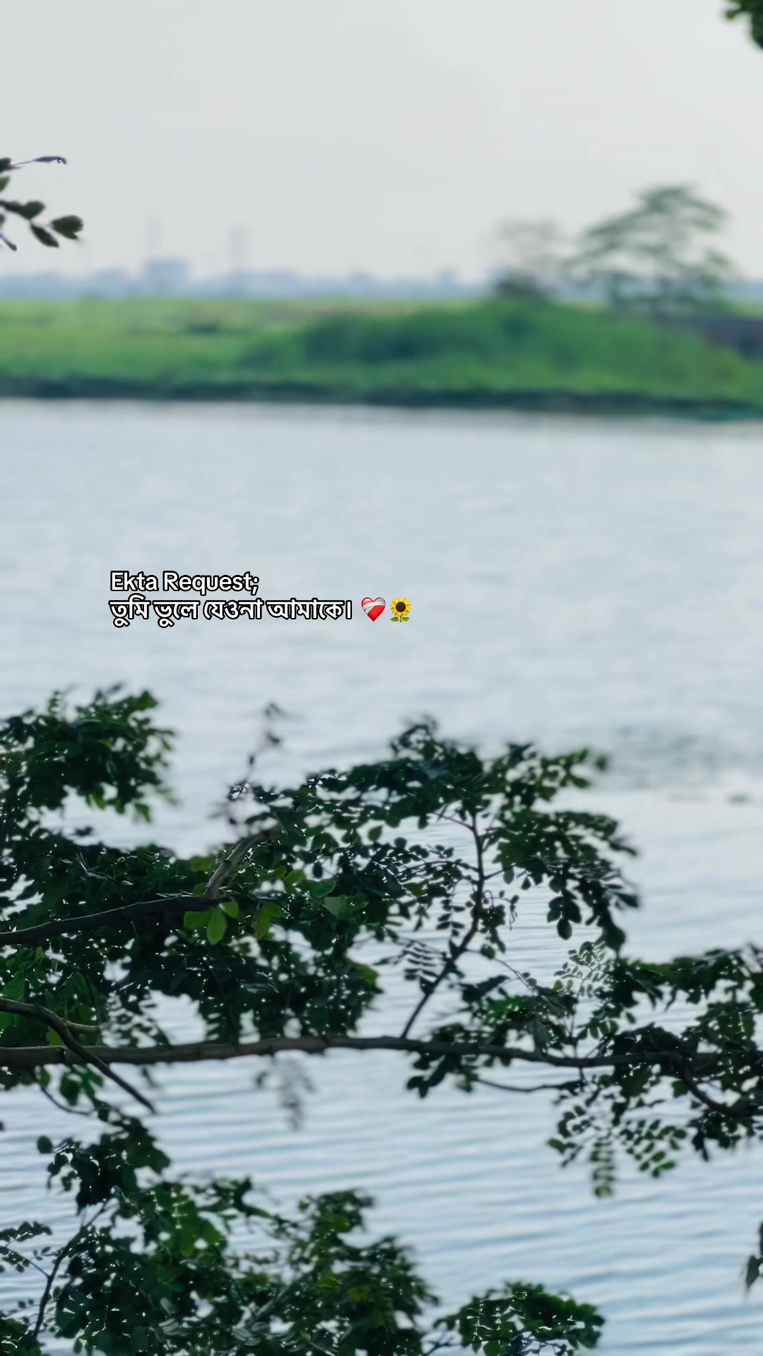 @đ đ đ đ đĨ đ¤đī¸