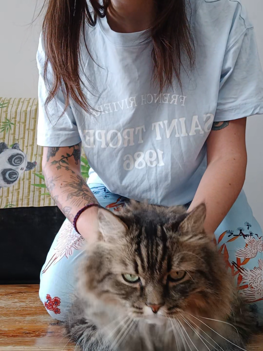 @cat_bayun_
