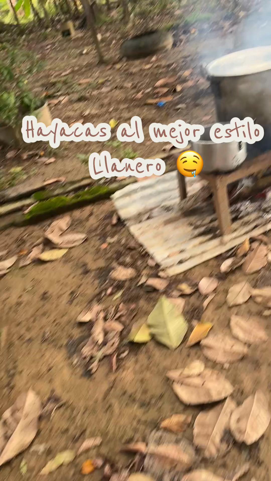 @Valentina Bernal