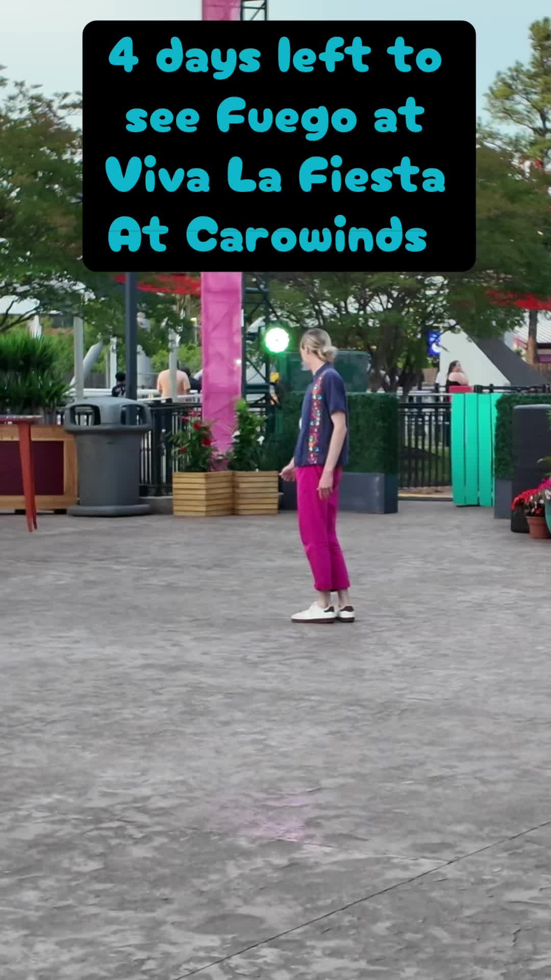@coasters.haunts.darkrides