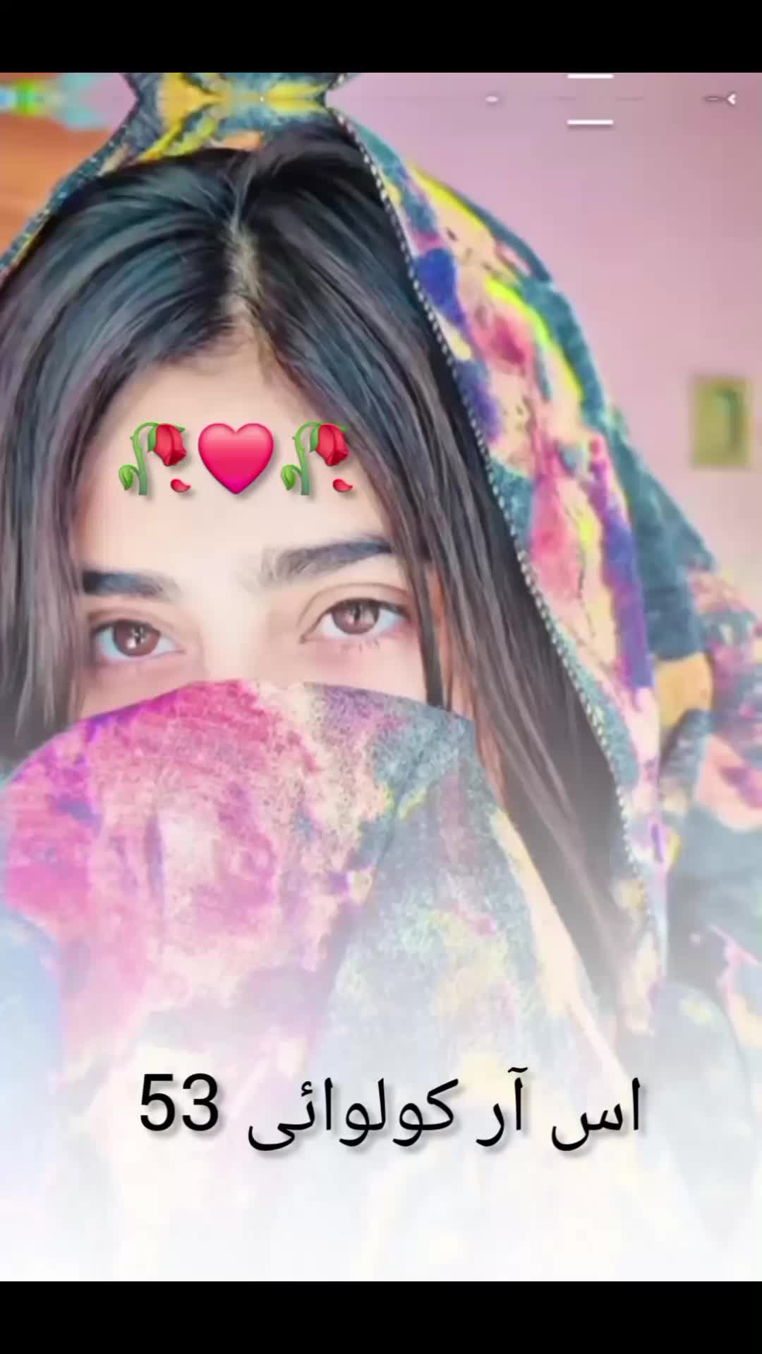 @S,r kolowahi 53