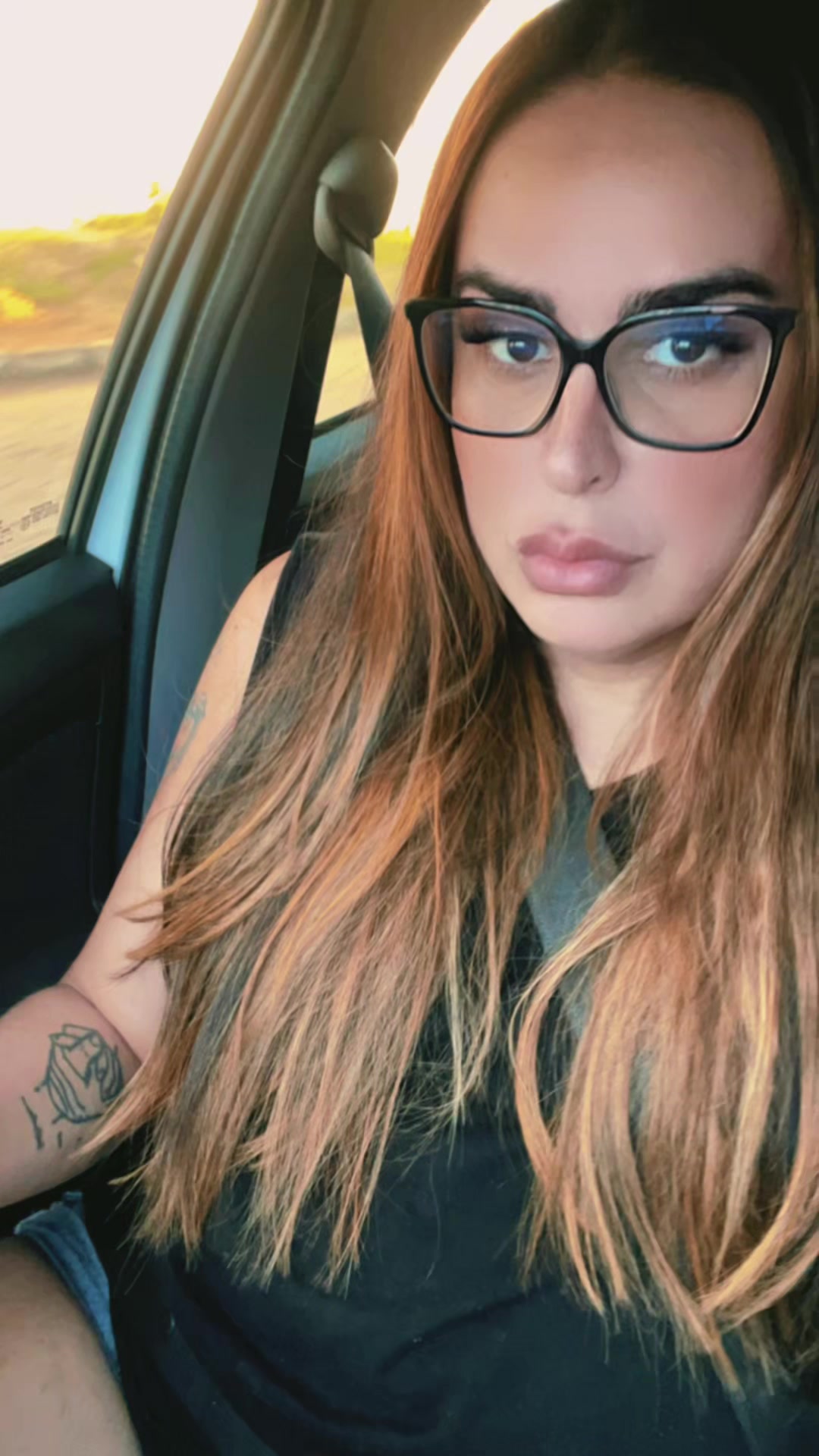 @tialaaraujotrans