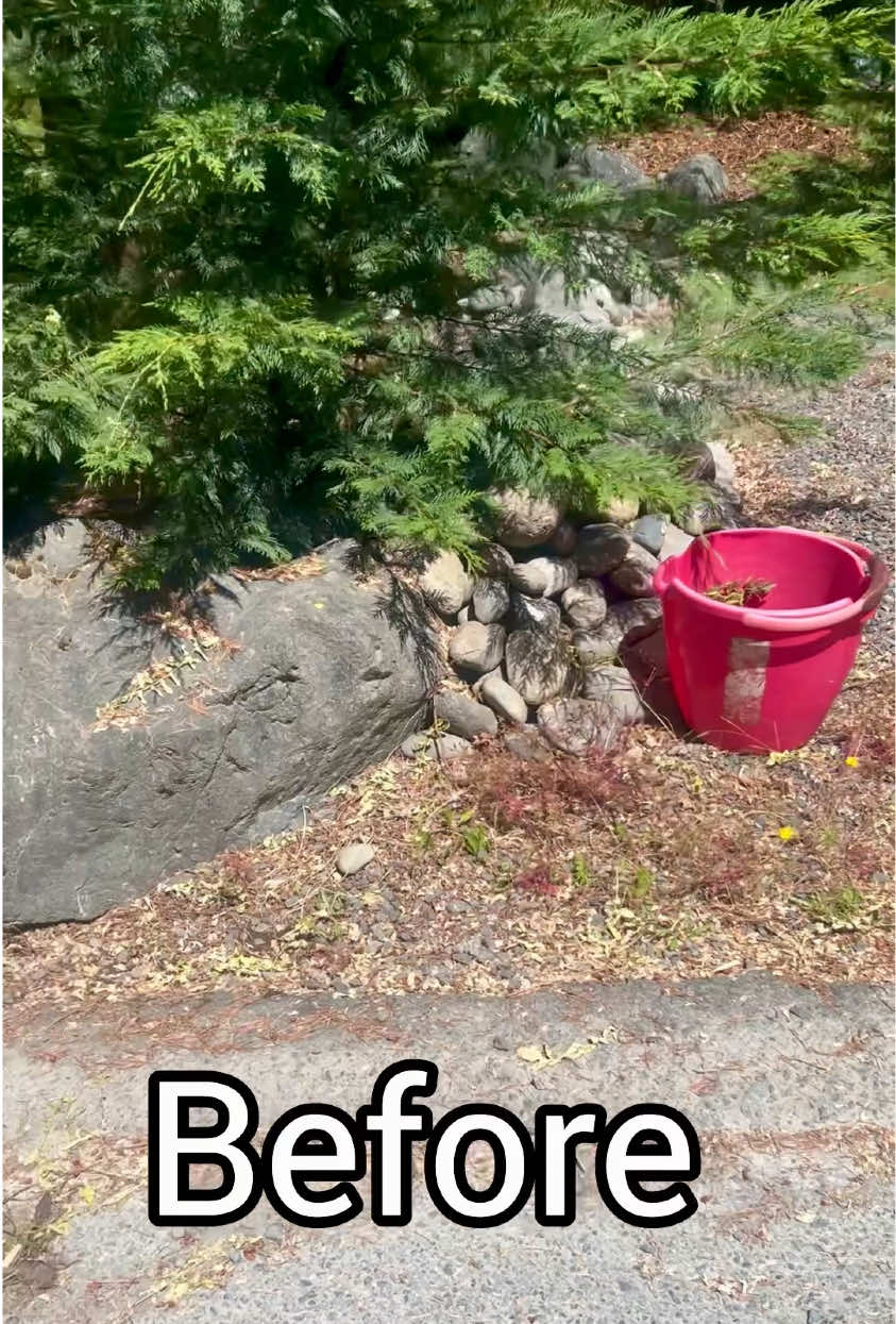 @🇨🇦AmusingMichele🇨🇦🇨🇦🇨🇦
