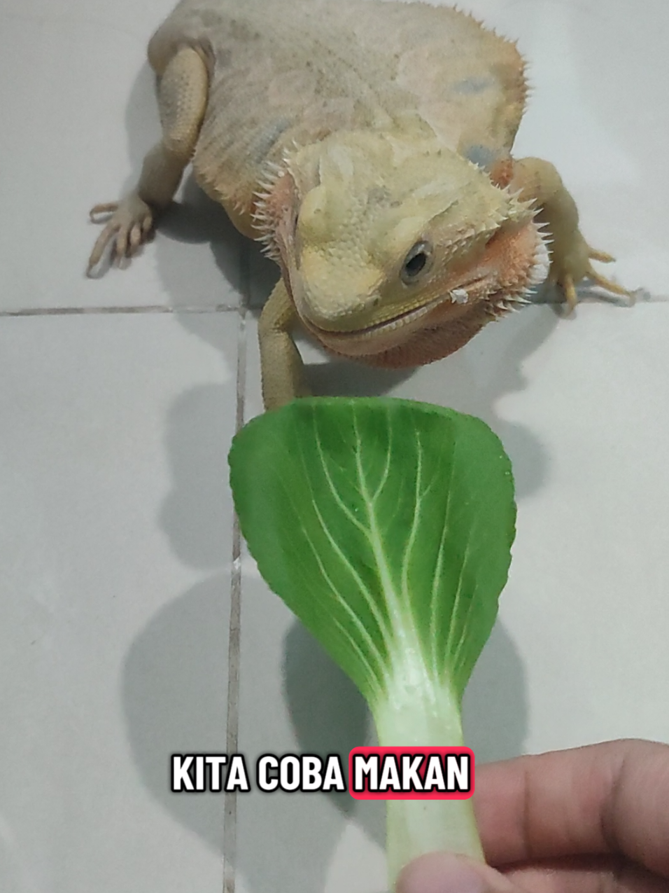 @Nicholas Seah