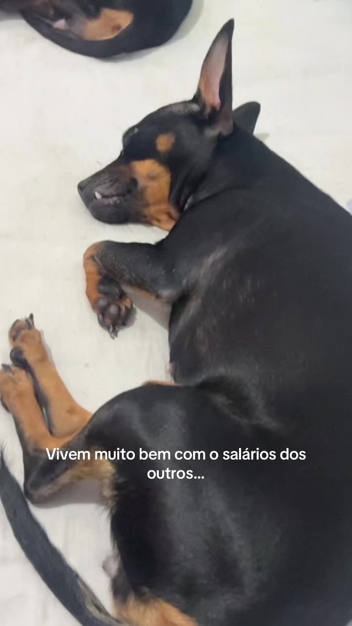 @Mathusa Reis 🍃