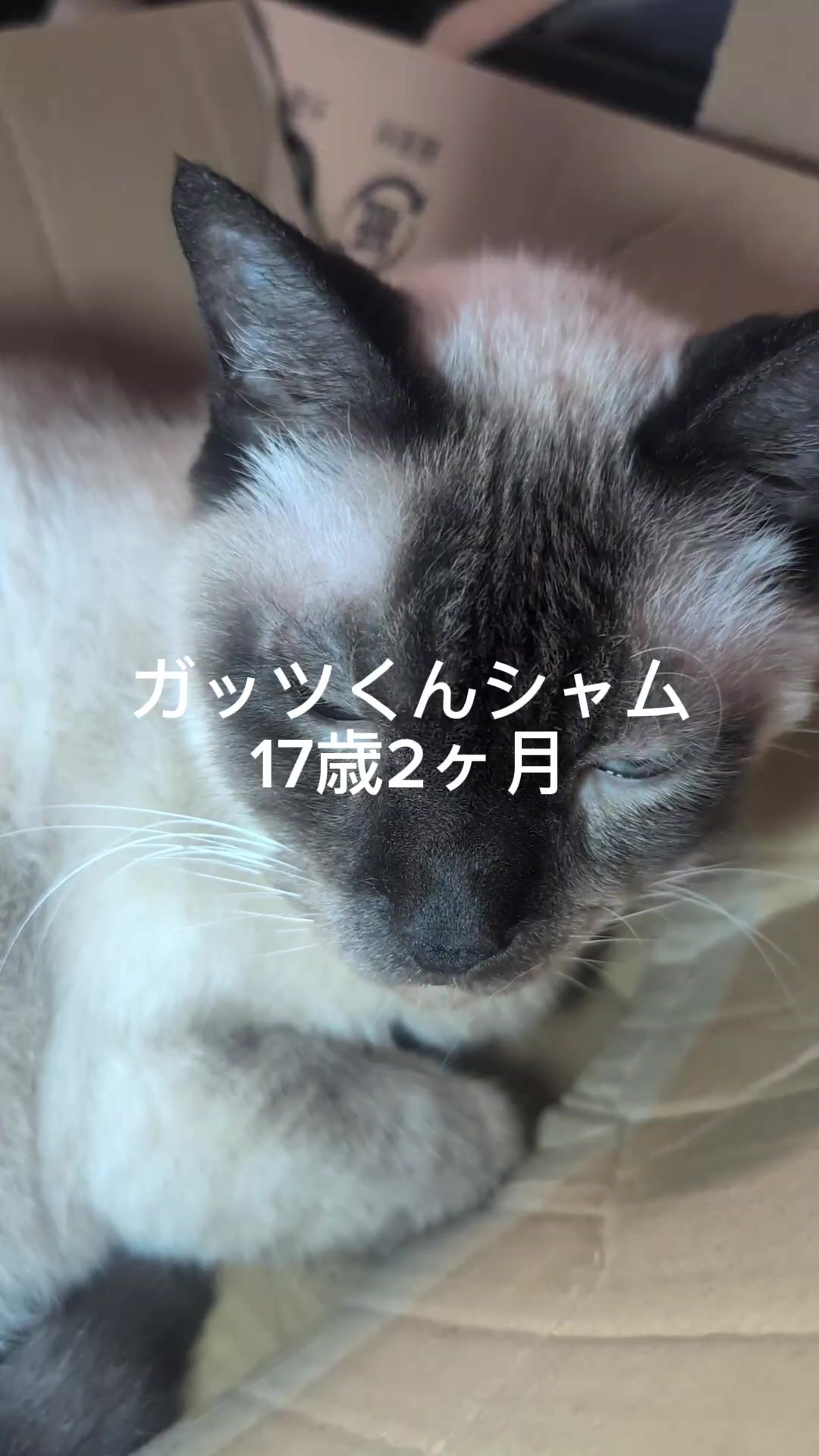 @睡眠プロデュース