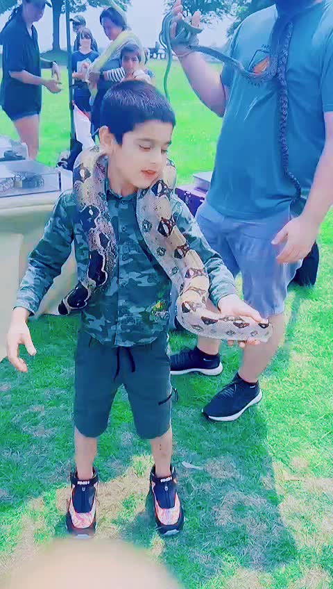 @Rahatsha Zafarkhil