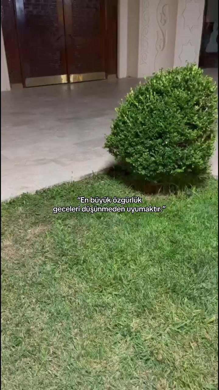 @𝓢