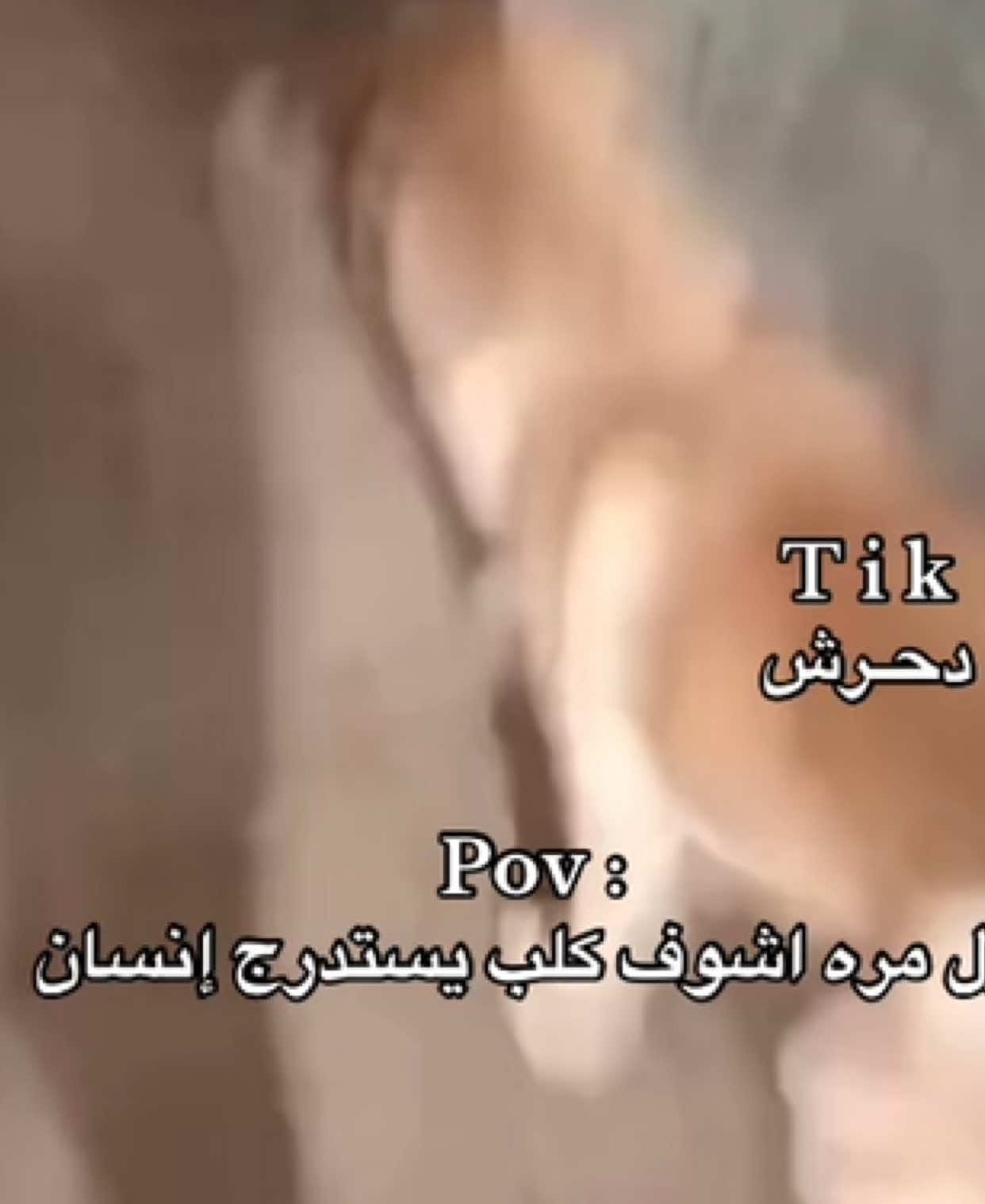 @دحرش | ضحك 😂