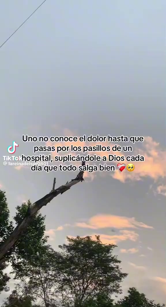 @Alejandrita Hernandez