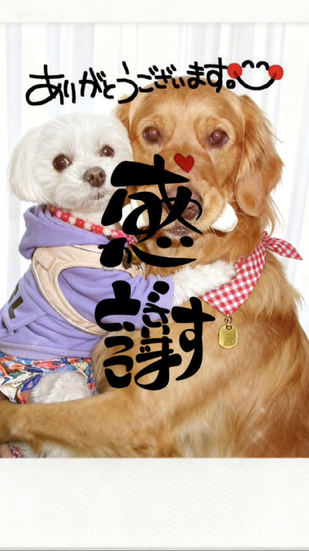 @トトロ77