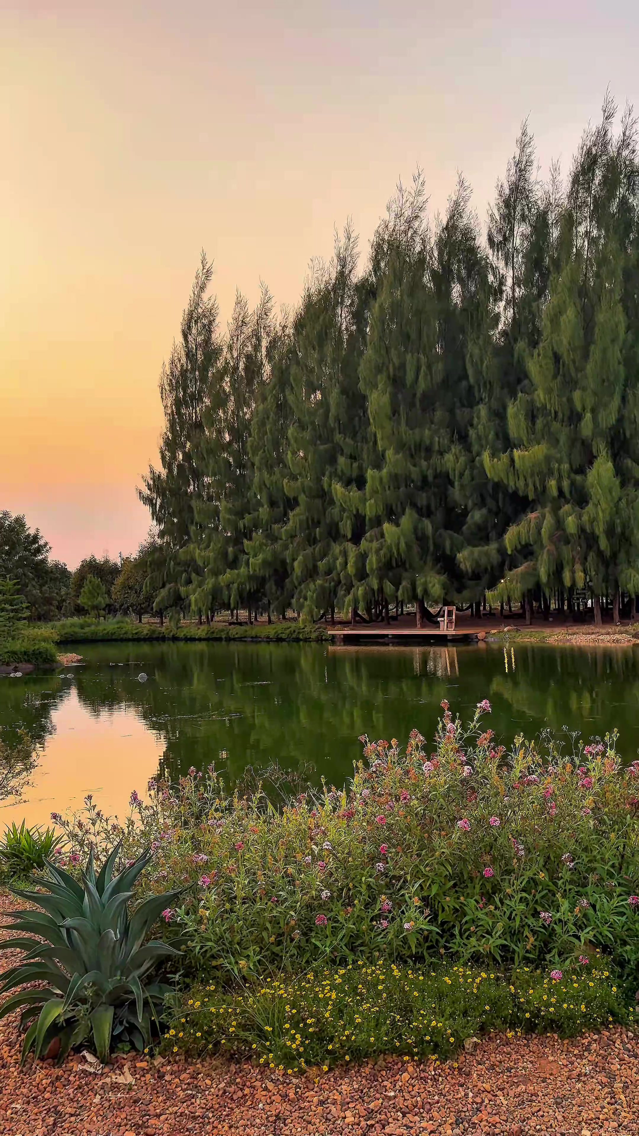 @ไร่วันยังขำ Oneyoungkham farm