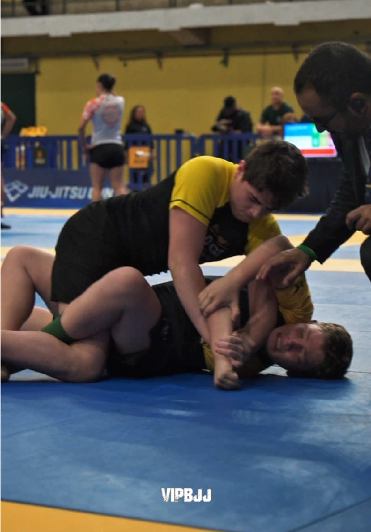 @VIPBJJ