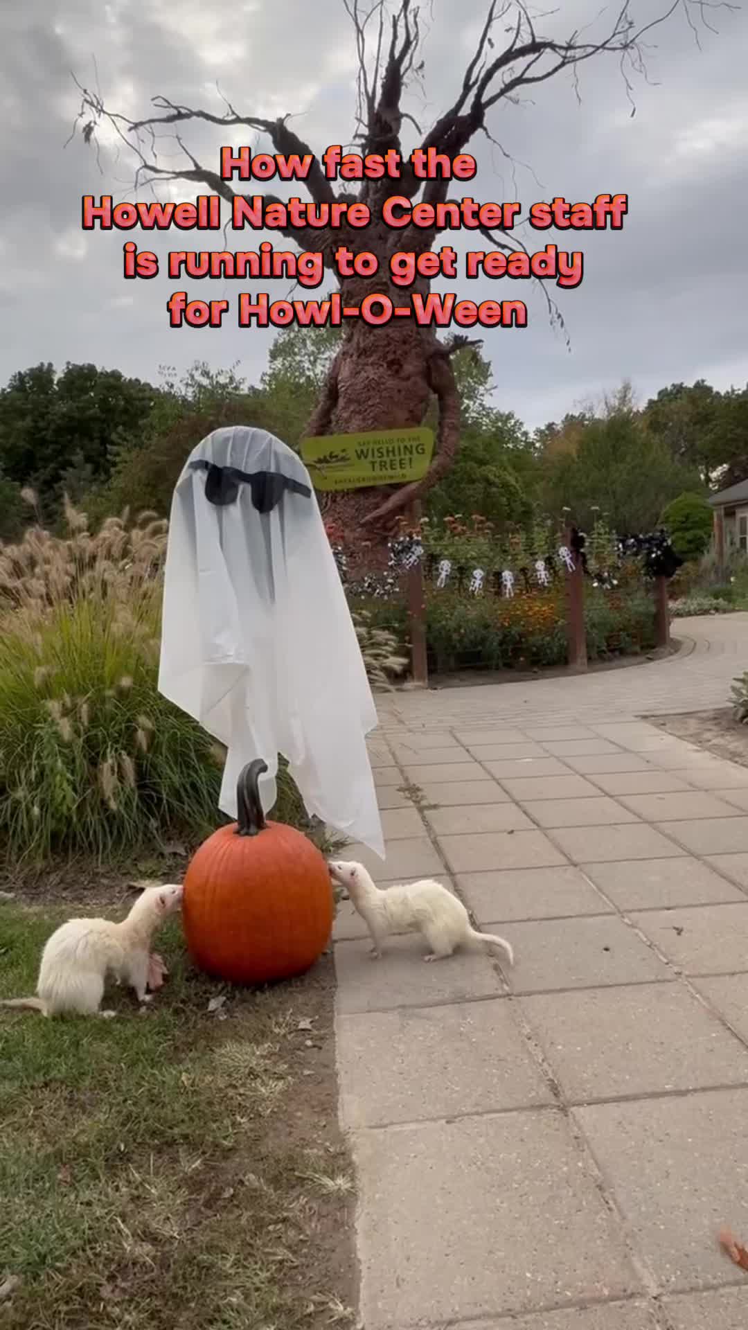 @HowellNatureCenter