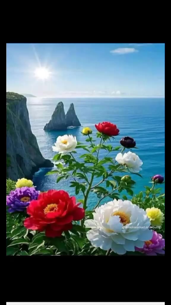 @Mohammad mohibullah