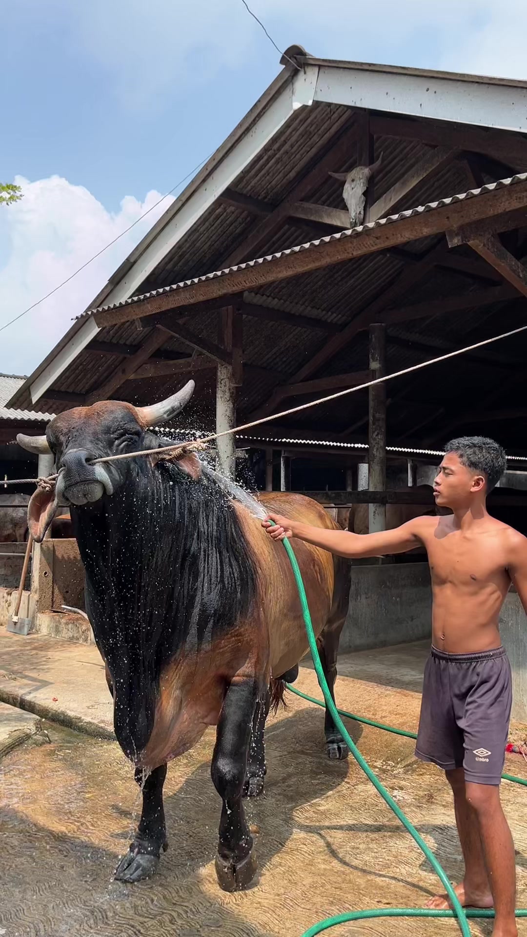 @Wisnu Farm Lampung