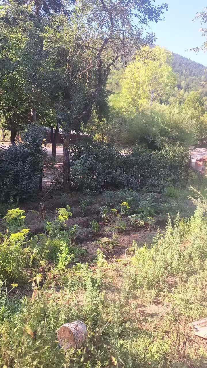 @Havva K&ouml;m&uuml;r