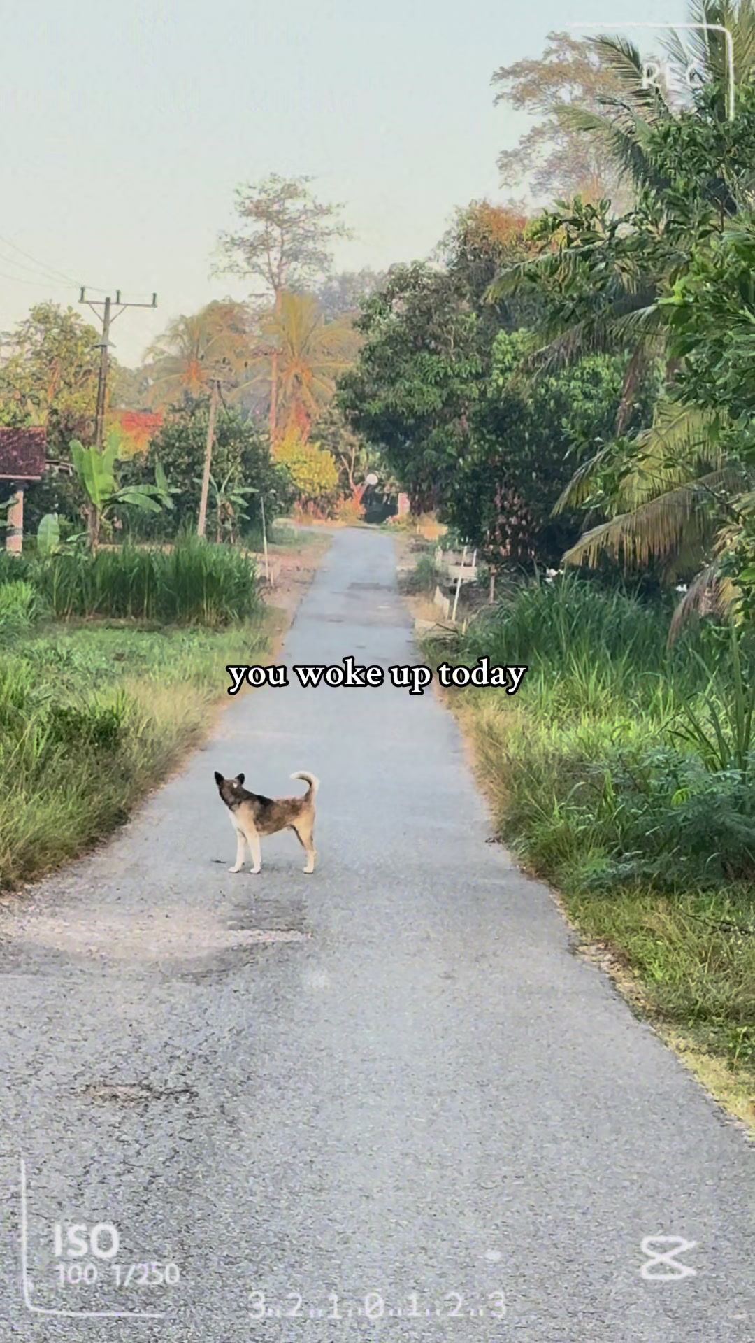 @Jejak Inspirasi