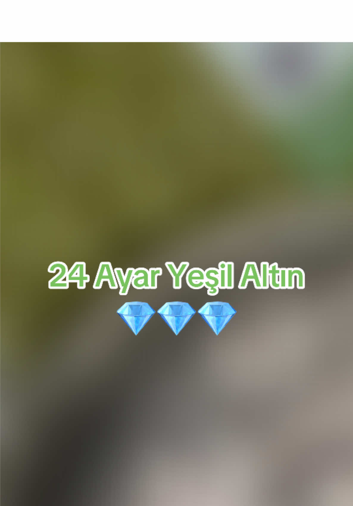 @Kocaoğlu Fıstıkçılık