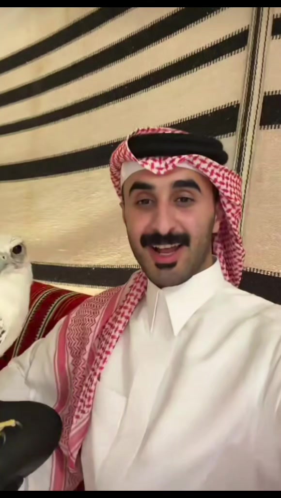 @FOFA|🇸🇦