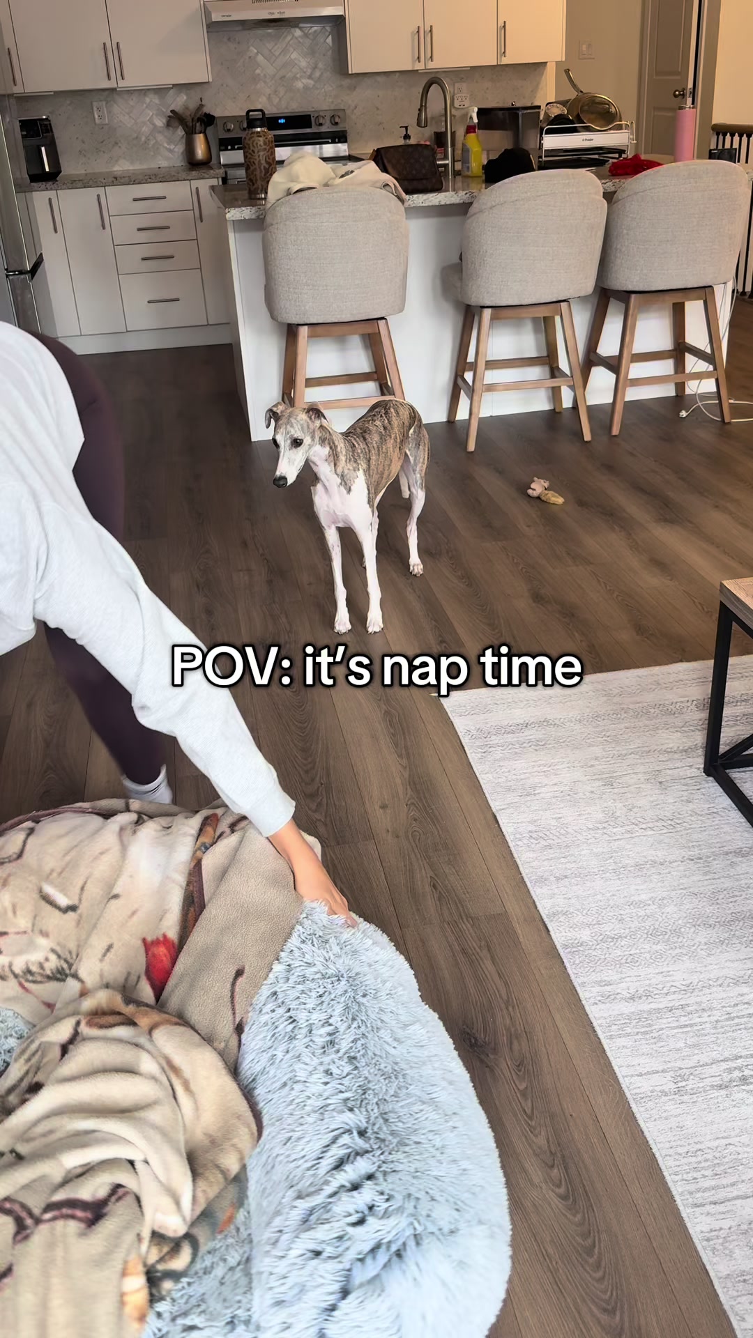 @Kayce Dog🤪🩷