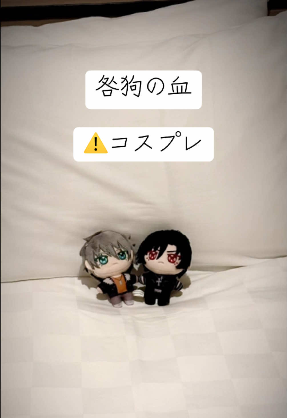 @むつひな | 双子