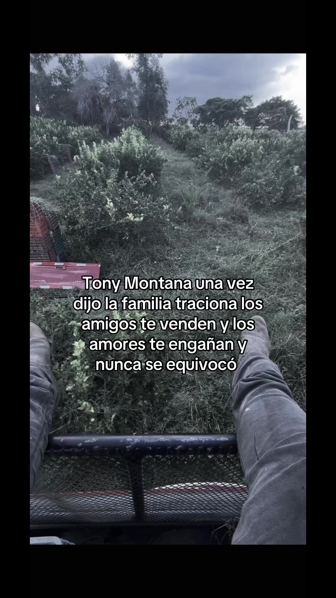 @JOS&Eacute; FLORES 🔥