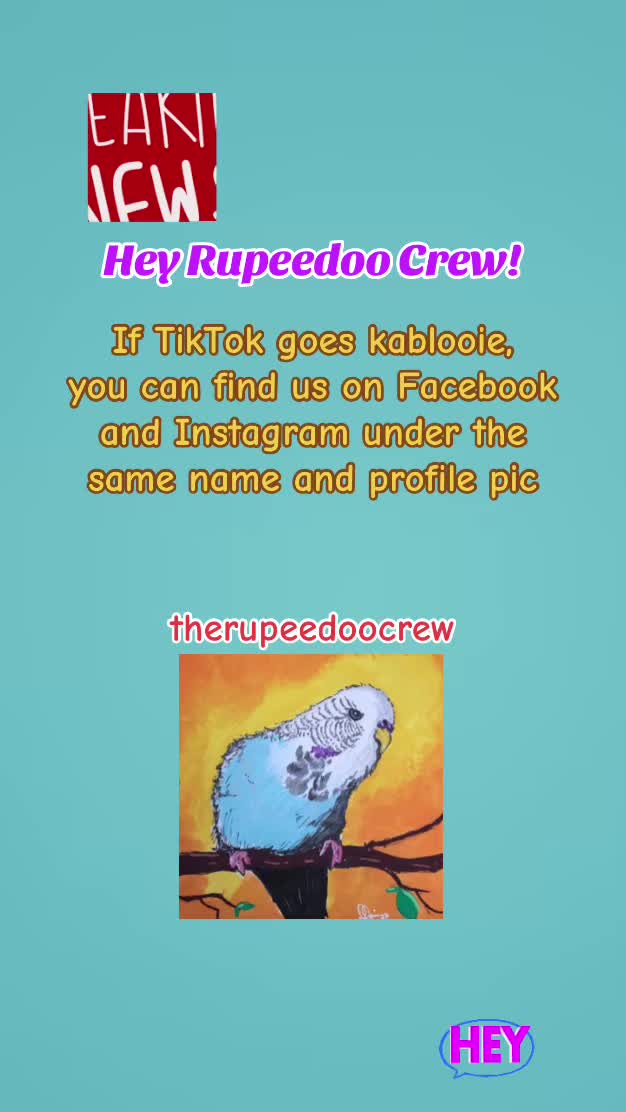 @Rupeedoo