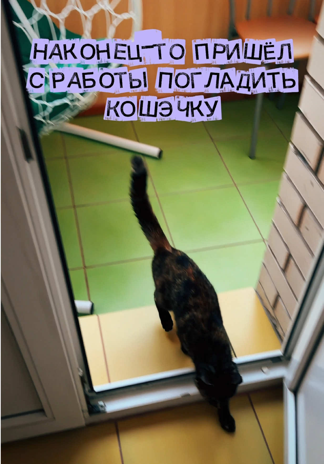 @VITALIY
