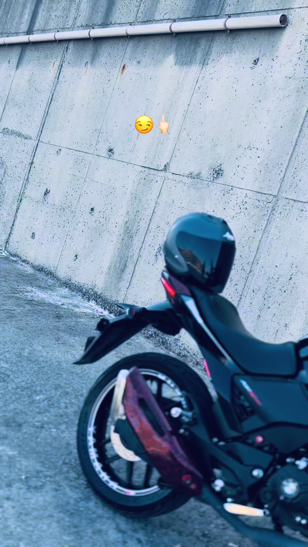 @🇧🇷☠️