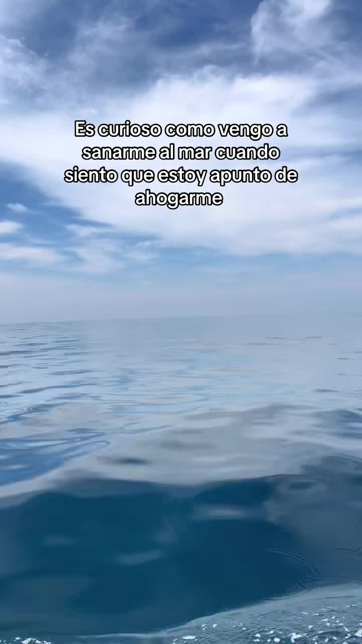 @✨🎀𝐿𝓊🎀✨