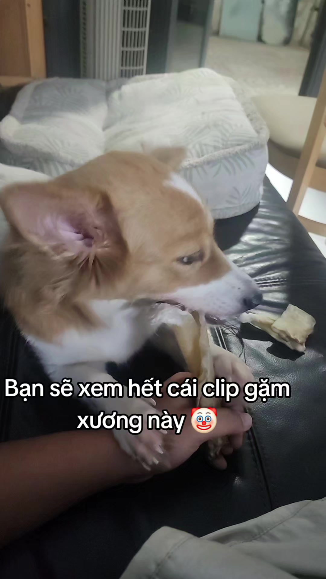 @Bla Bla Blo Blo