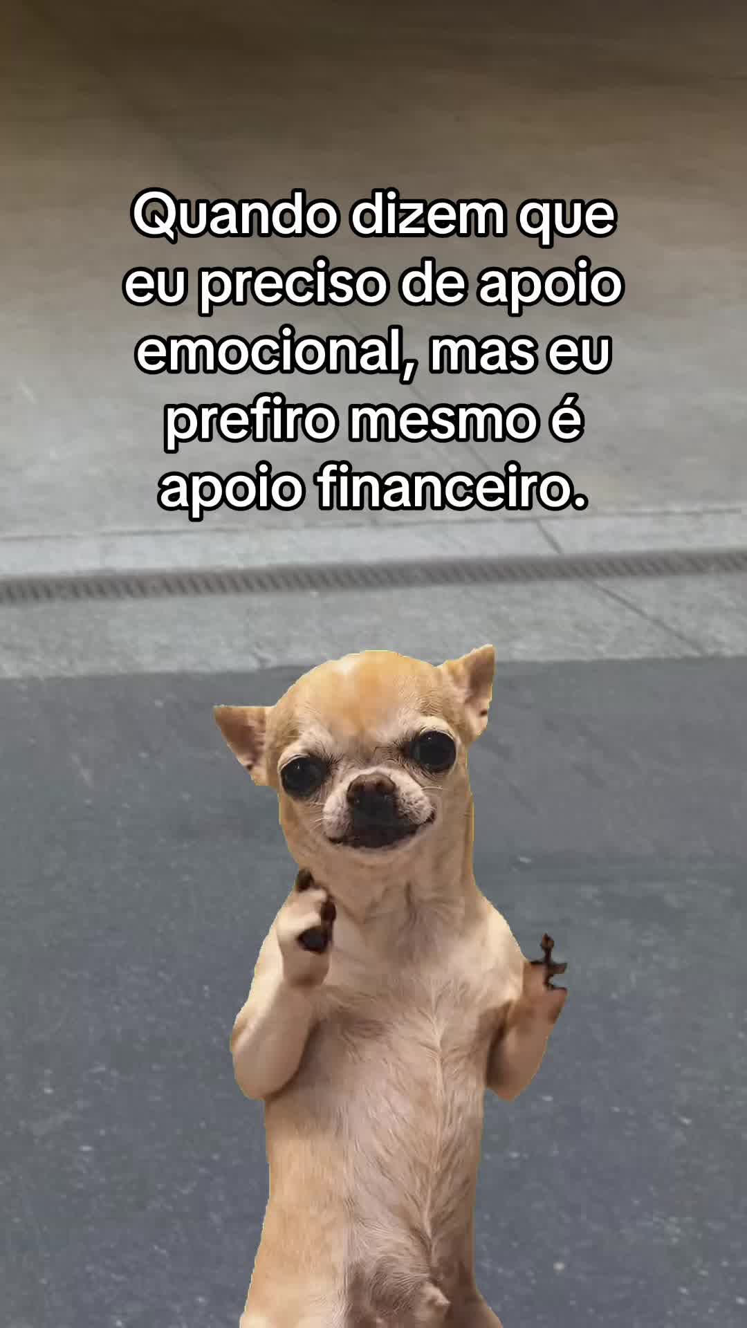 @tababadeira