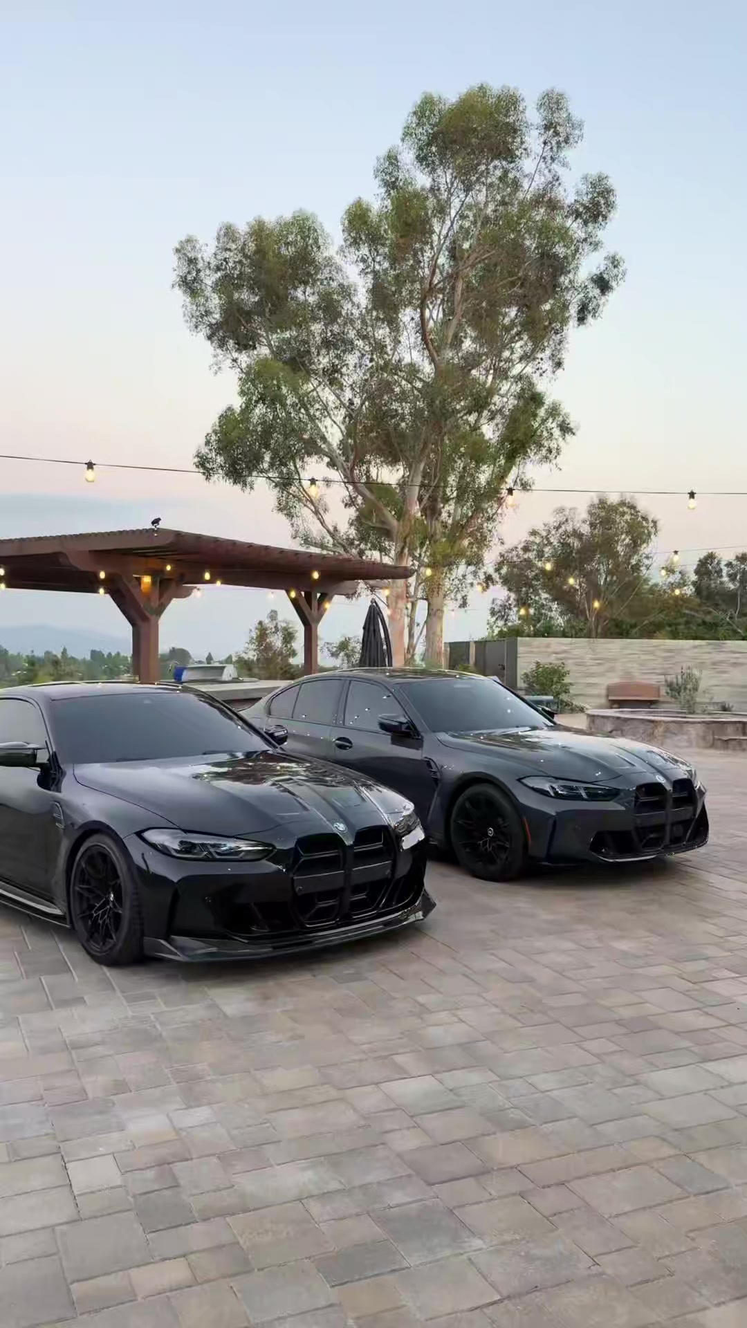 @Millionaire_Mentality_7