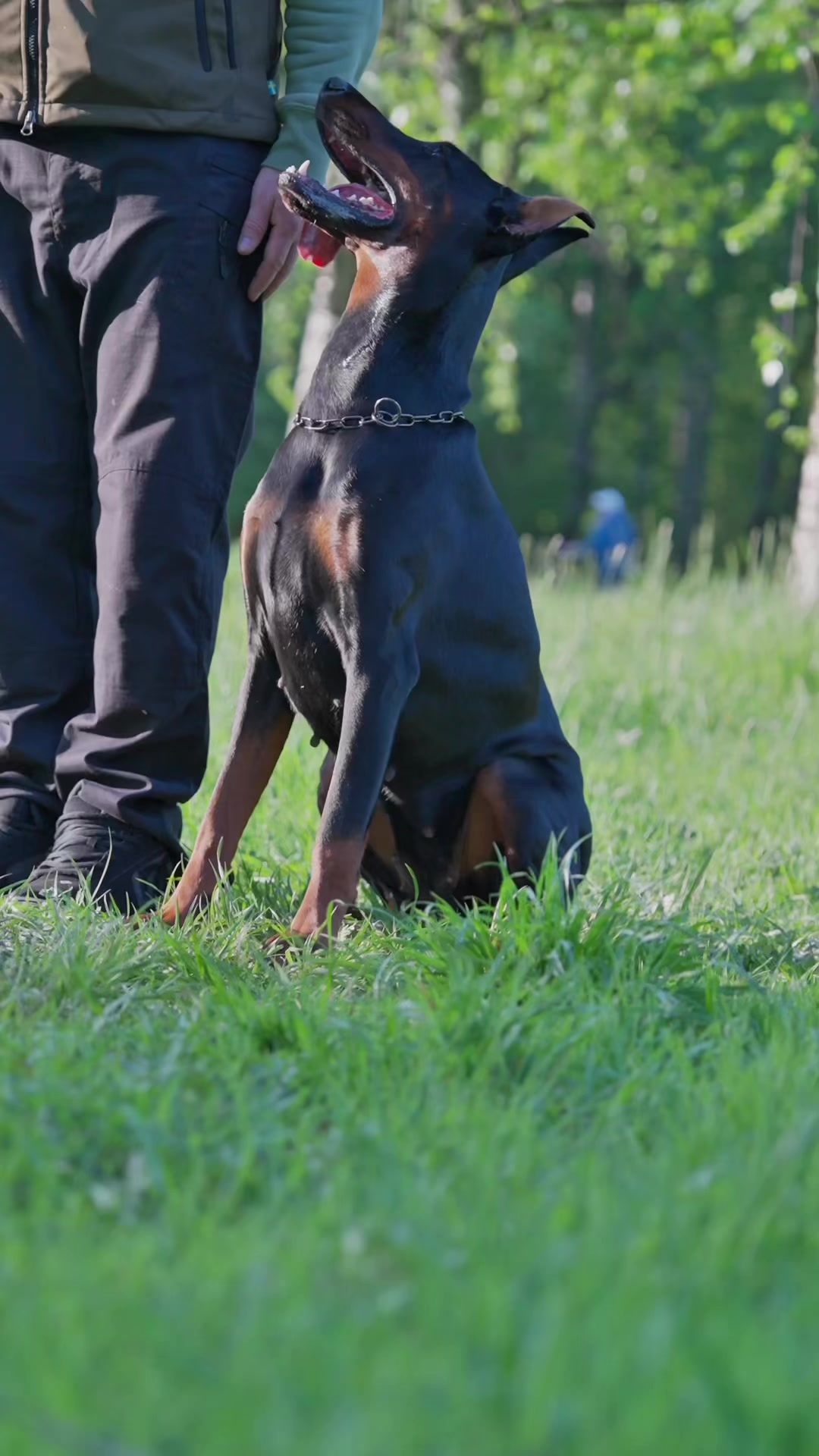 @Djudi_Doberman