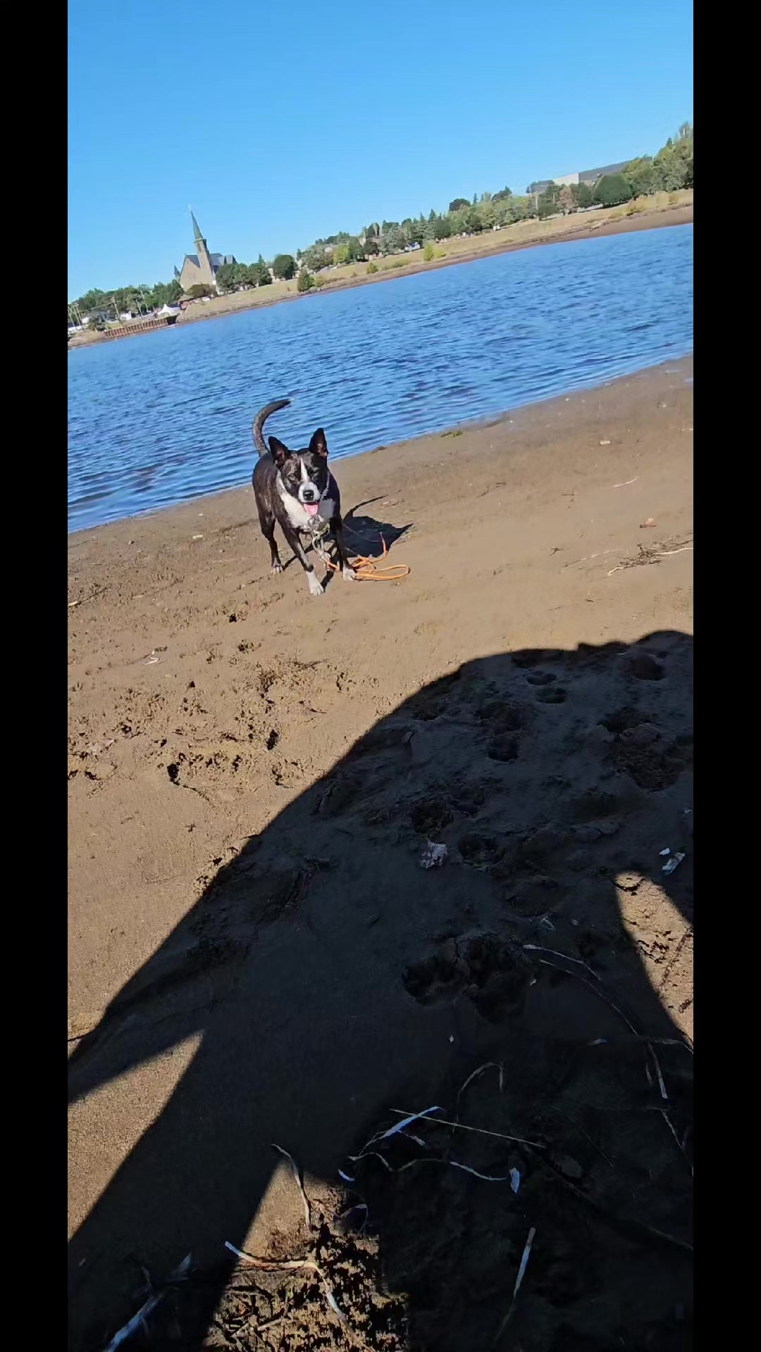 @S & S Vienneau rescues
