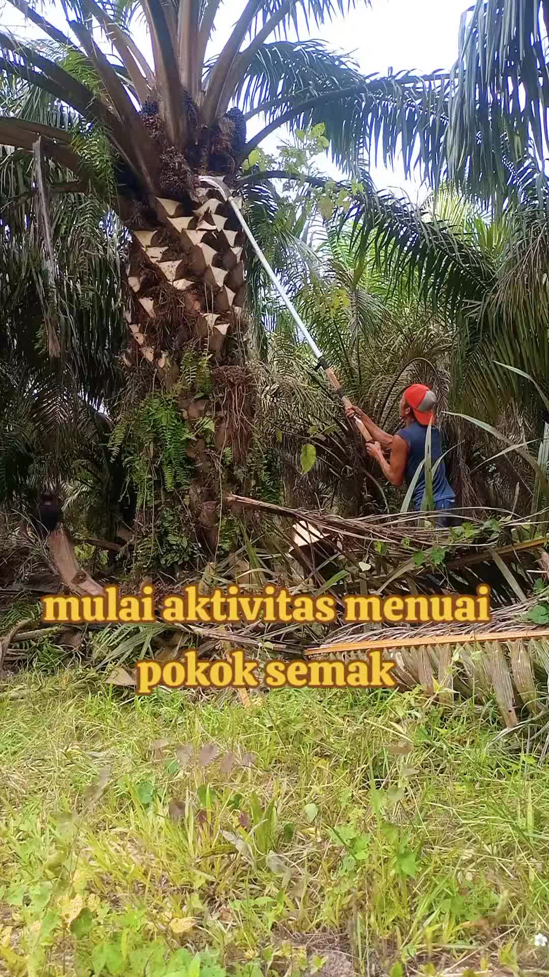 @rafkha461