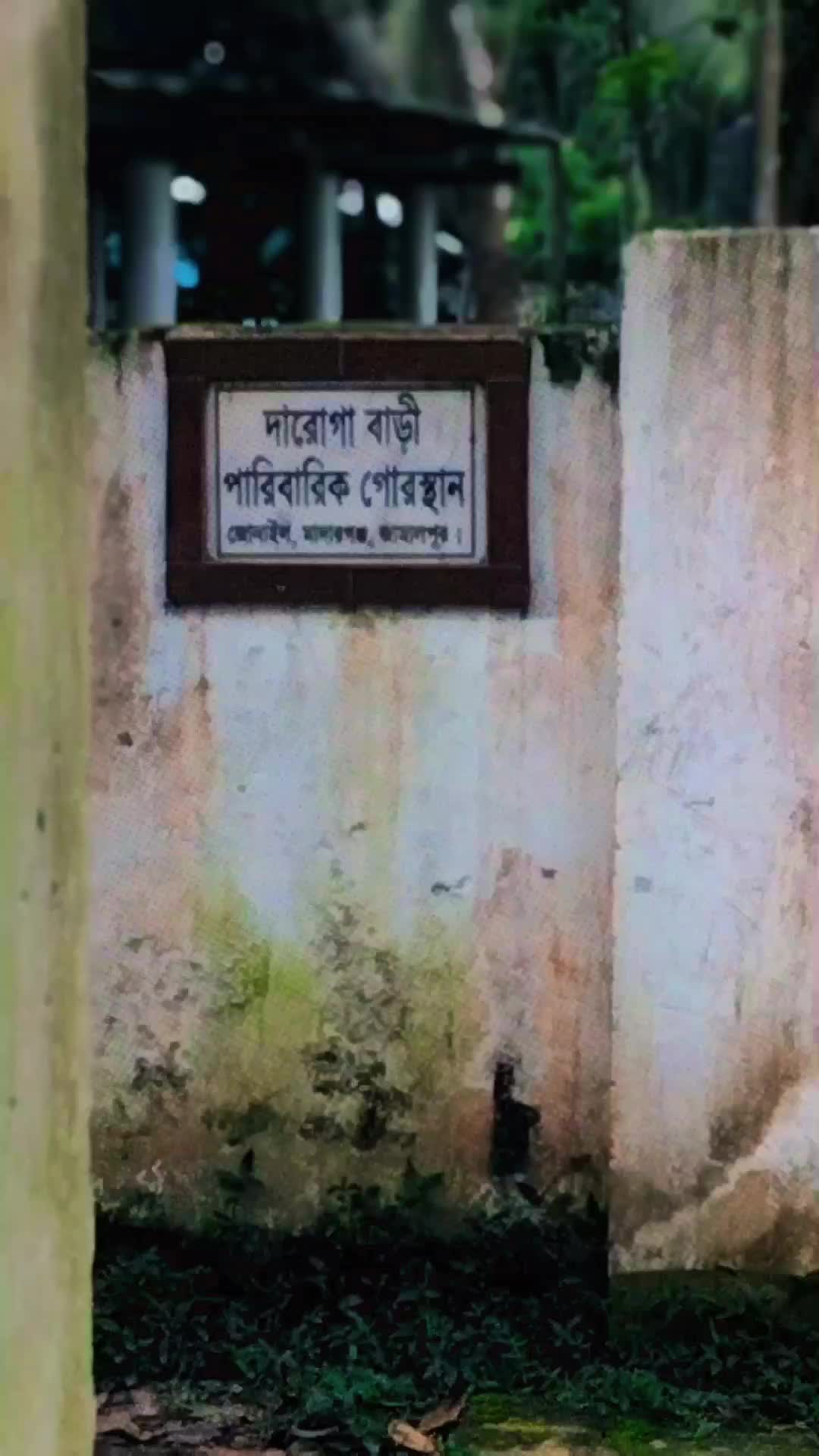 @সিয়াম হাসান